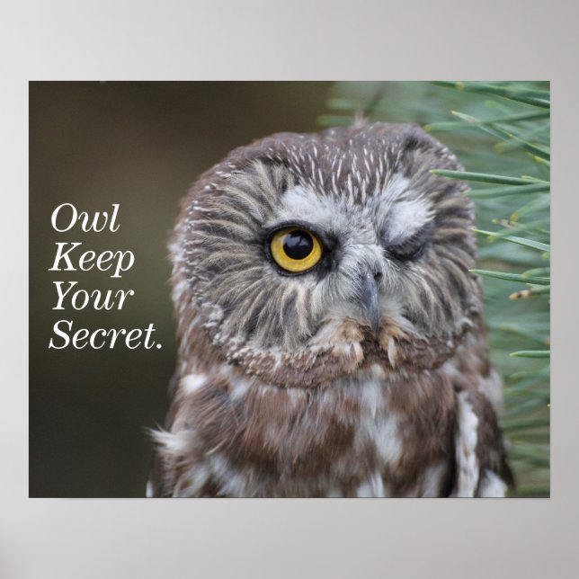 Sägemehl Poster (Vorne)