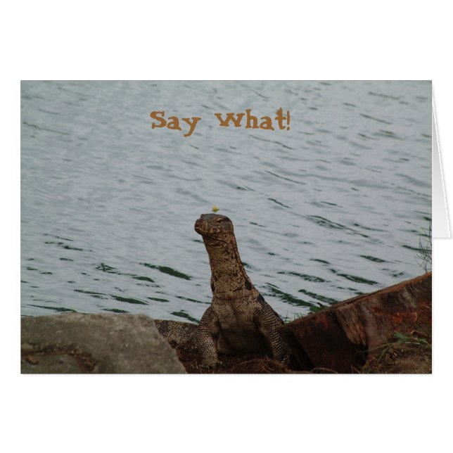 Sagen Sie, was! Wasser-Monitor (Vorderseite (Horizontal))