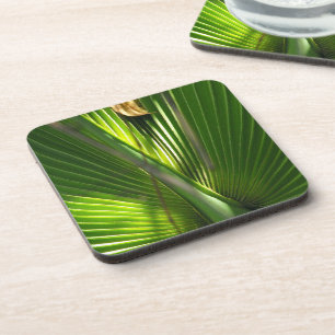 Sägepalme Nahaufnahme Untersetzer