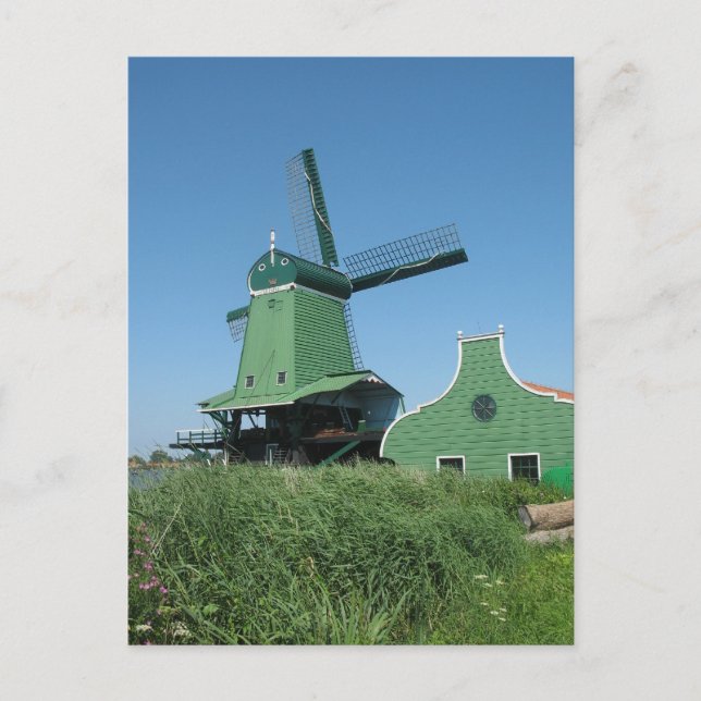 Sägewerk in Holland Postkarte (Vorderseite)