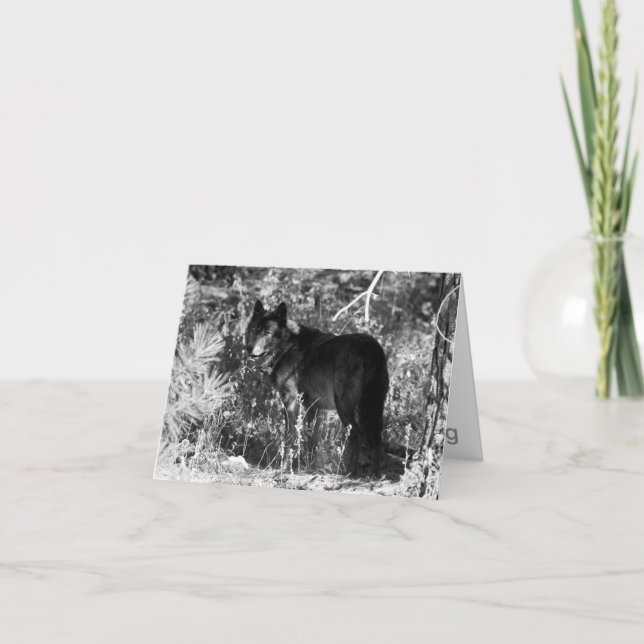 Sägezahn-Satz-Anmerkungs-Karte Karte (Vorderseite)