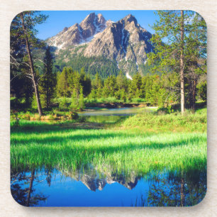 Sägezahnwild Untersetzer