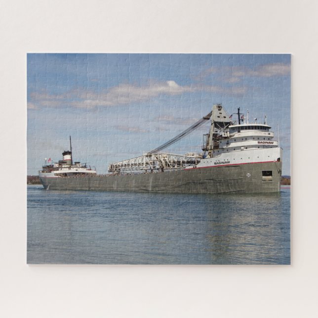 Saginaw-Puzzle (Horizontal)