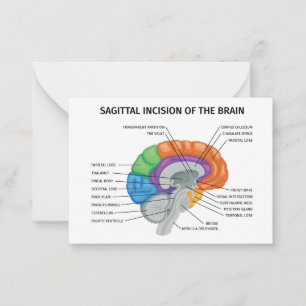 Sagittal Inzision des Gehirns Mitteilungskarte