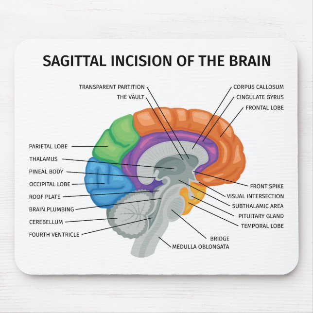 Sagittal Inzision des Gehirns Mousepad (Vorne)