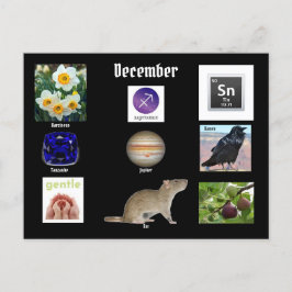 Sagittarius Dezember Geburtsmonat POSTCARD Postkarte