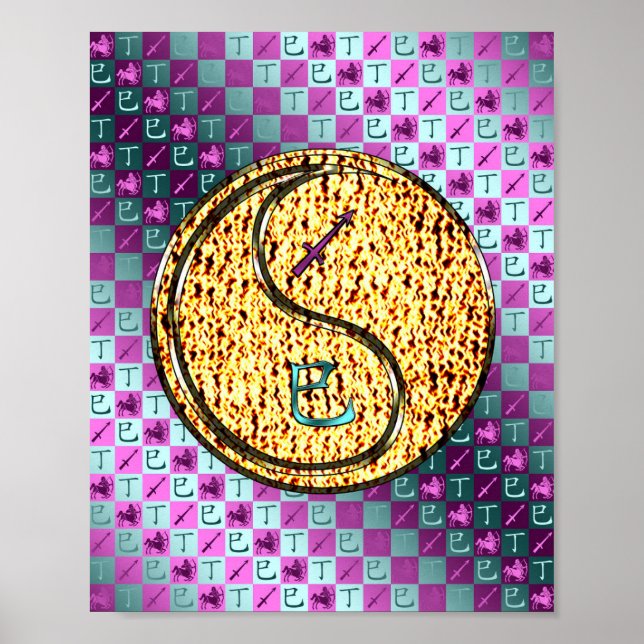 Sagittarius & Feuerschlange Poster (Vorne)