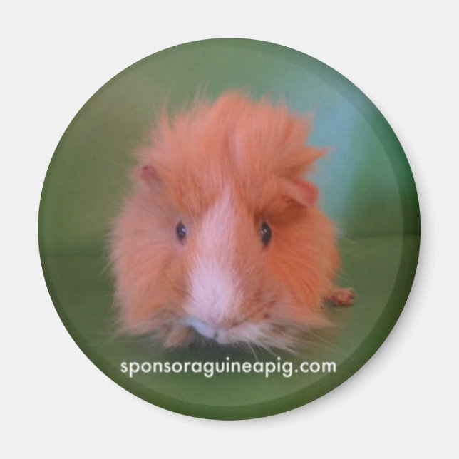 SAGP-Magnet Magnet (Vorne)