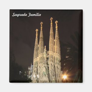 Sagrada Familia nachts Magnet