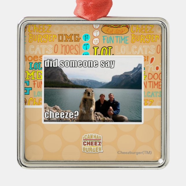 Sagte jemand cheeze? silbernes ornament (Vorne)