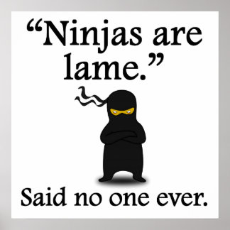 Sagte nie jemand: Ninjas sind lahm Poster