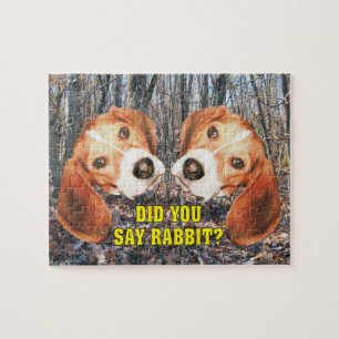 Sagten Sie Kaninchen? Beagle