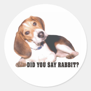 Sagten Sie Kaninchen? Beagle-Aufkleber Runder Aufkleber