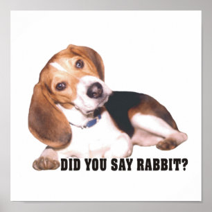 Sagten Sie Kaninchen?  Beagle-Plakat Poster