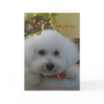 "Sagten Sie mich gemusst GUT das ganze Jahr sein?