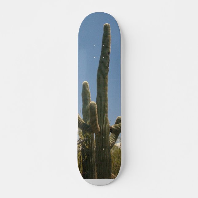 Saguara Kaktus-Skatebrett Skateboard (Vorne)