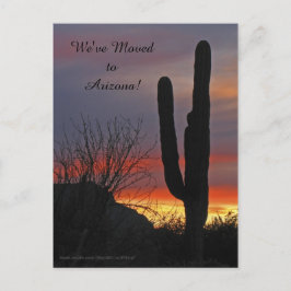 Saguaro bei Sunset, neue Ankündigung