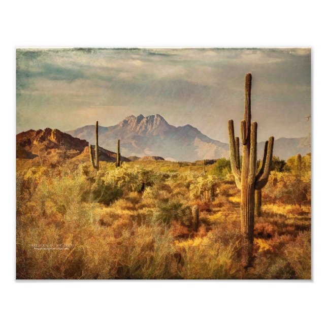 Saguaro Cacti Arizona Wüste Aussicht auf die Berge Fotodruck (Vorne)