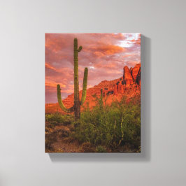 Saguaro Cactus Arizona Sunset Terracotta Red 11x14 Leinwanddruck