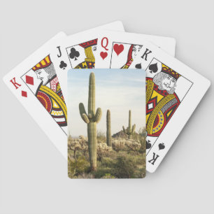 Saguaro Cactus, Arizona, USA Spielkarten