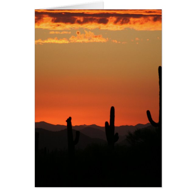 Saguaro Cactus at Sunset (Vorne)