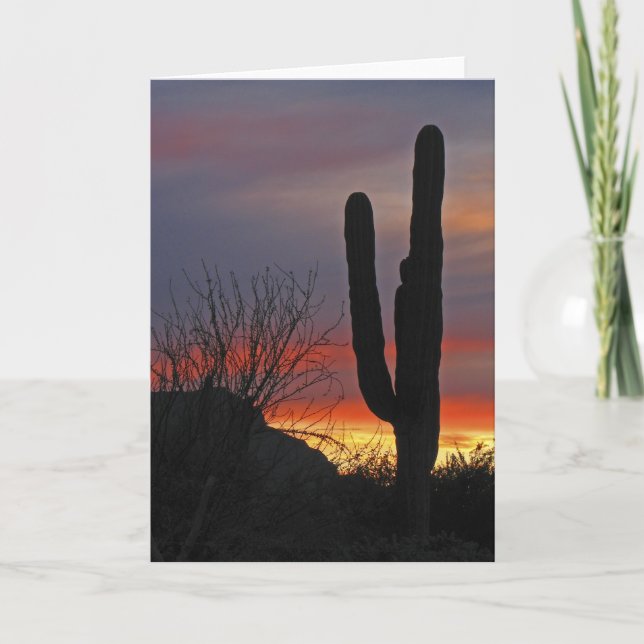 Saguaro Cactus au coucher du soleil, carte de voeu (Devant)