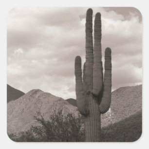 Saguaro Cactus Désert Autocollants personnalisés