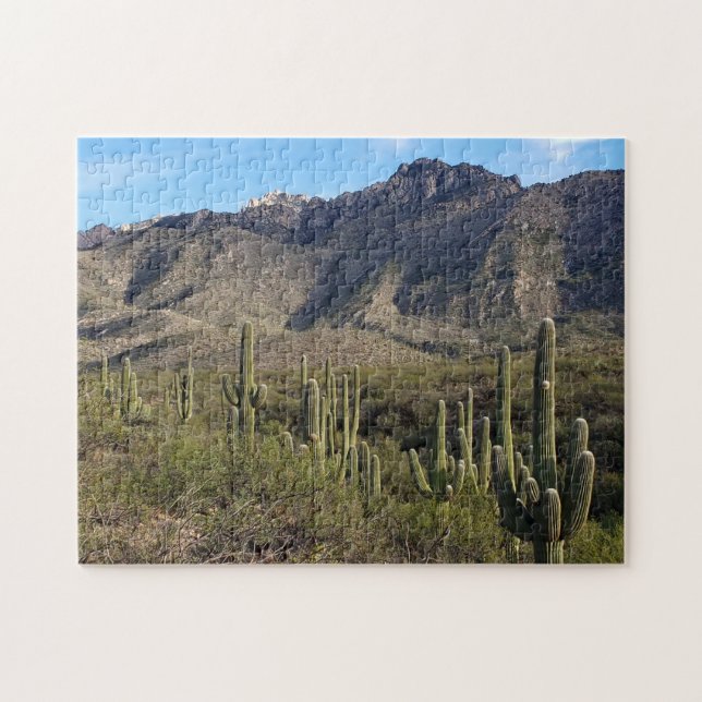 Saguaro Cactus et Catalina Mountains, Tucson AZ (Horizontal)