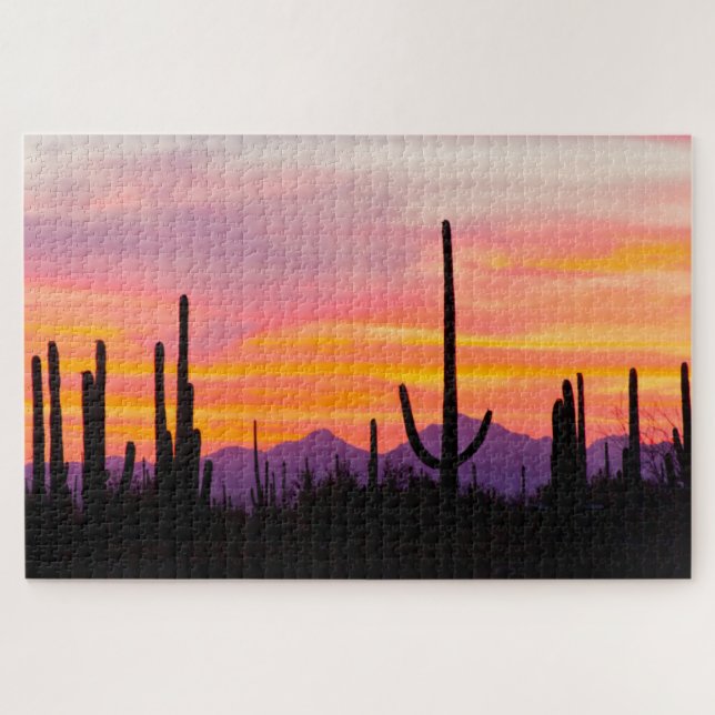 Saguaro Cactus Forest at Sunset (Horizontal)
