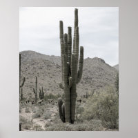 Saguaro Cactus in the Arizona Desert Low Sat 16x20