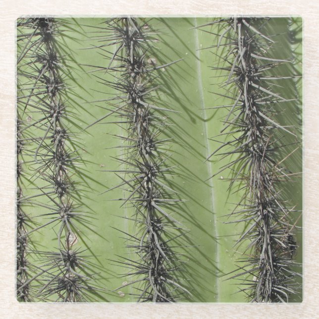 Saguaro Cactus Needles Foto Südwestliche Natur Glasuntersetzer (Vorderseite)