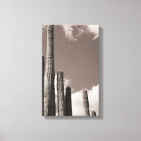 Saguaro Cactus Pipes Desert B&W Foto Kunstdrucke