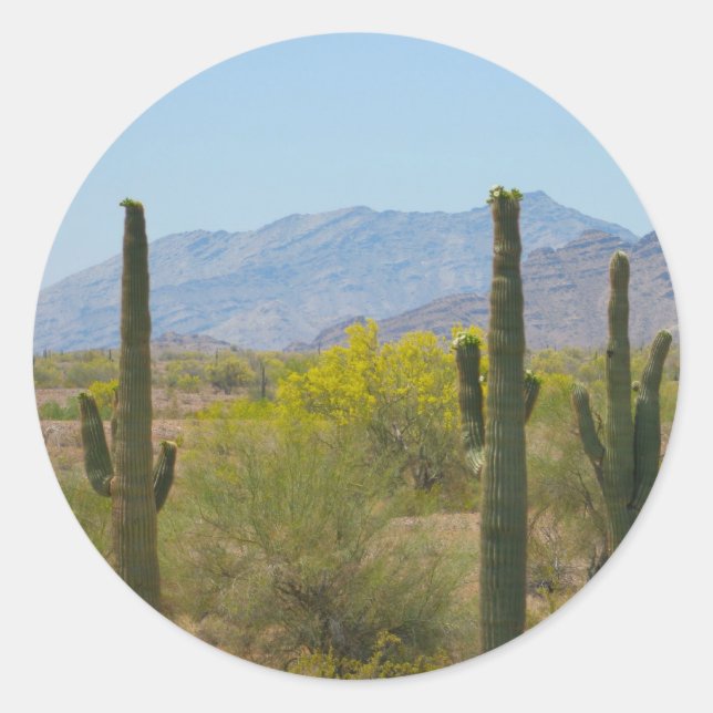 Saguaro Cactus Runder Aufkleber (Vorderseite)