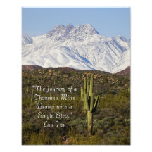 Saguaro Cactus Snow Capped Mountains Arizona USA