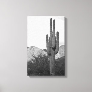 Saguaro Cactus Sonoran Desert B&W Foto Art Prints Leinwanddruck