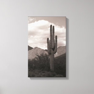 Saguaro Cactus Sonoran Desert B&W Foto Art Prints Leinwanddruck