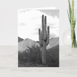 Saguaro Cactus Sonoran Desert Foto Grußkarte Karte