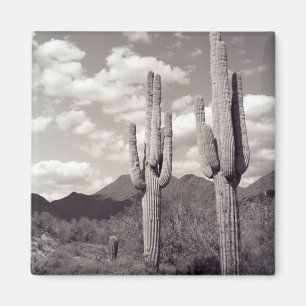 Saguaro Cactus Sonoran Desert Kühlschrank Magnet