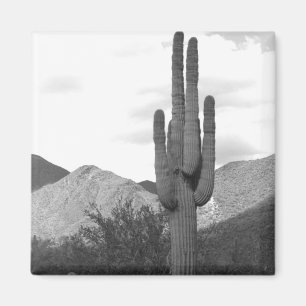 Saguaro Cactus Sonoran Desert Kühlschrank Magnet