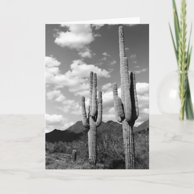 Saguaro Cactus Sonoran Desert Photo Cartes de voeu (Devant)