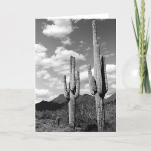 Saguaro Cactus Sonoran Desert Photo Cartes de voeu