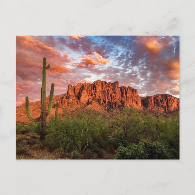 Saguaro Cactus Superstition Mountain Sunset Clouds Postkarte (Vorderseite)