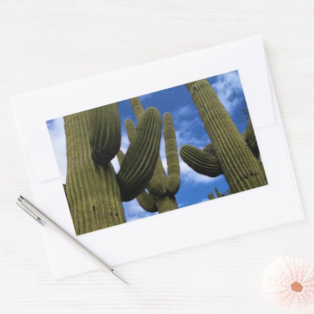 Saguaro Cactus Trio / Blue Sky & Clouds / Arizona Rechteckiger Aufkleber (Umschlag)
