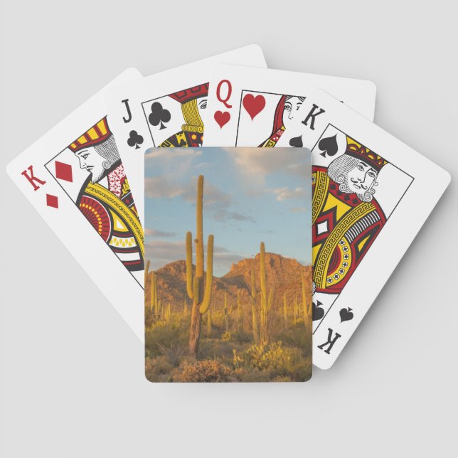 Saguaro-Kakteen bei Sonnenuntergang, Arizona Spielkarten (Rückseite)