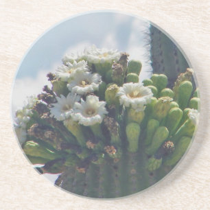Saguaro-Kakteen-Blüten Getränkeuntersetzer