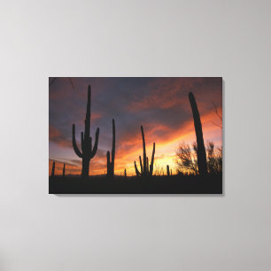 Saguaro-Kakteen, Carnegiea gigantea, danach Leinwanddruck
