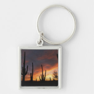 Saguaro-Kakteen, Carnegiea gigantea, danach Schlüsselanhänger