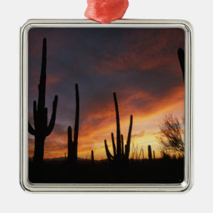 Saguaro-Kakteen, Carnegiea gigantea, danach Silbernes Ornament