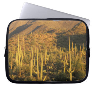 Saguaro-Kakteen im Nationalpark Saguaro Laptopschutzhülle