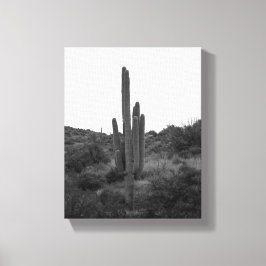 Saguaro-Kaktus 8x10 Leinwanddruck